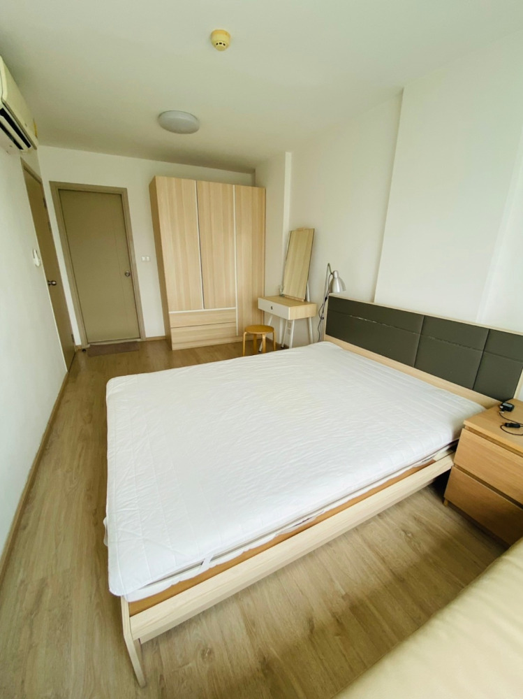 ให้เช่าคอนโดอ่อนนุช อุดมสุข : พร้อมเข้าหลัง 4/1/2026 คอนโด ELIO Del Ray Sukhumvit 64 เอลลิโอ เดล เรย์ สุขุมวิท 64 [E242]