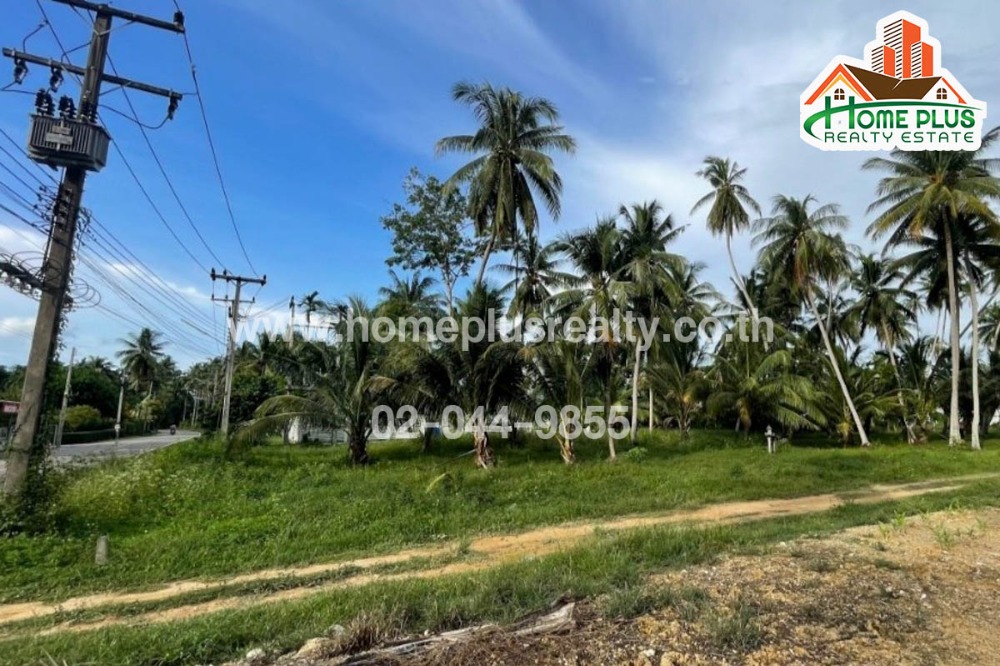 ขายที่ดินหัวหิน ประจวบคีรีขันธ์ : ที่ดินพร้อมสวนมะพร้าว ใกล้หาดบ้านกรูด บางสะพาน ประจวบคีรีขันธ์ เนื้อที่ 3 ไร่ 7 ตารางวา