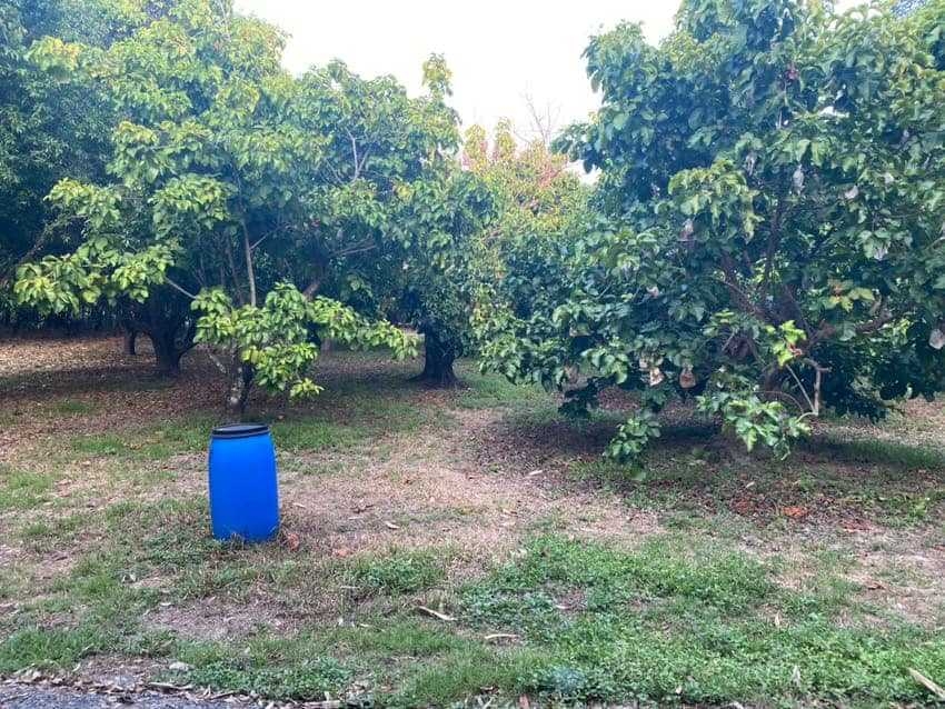 ขายที่ดินนครนายก : ขายที่ดิน ต.สาริกา อ.เมือง จ.นครนายก ขนาด 8-0-97.8 ไร่  เหมาะกับการทำรีสอร์ท บ้านพักตากอากาศ ใกล้น้ำตกสาริกา น้ำตกวังตะไคร้, น้ำตกนางรอง, เขื่อนขุนด่านปราการชล