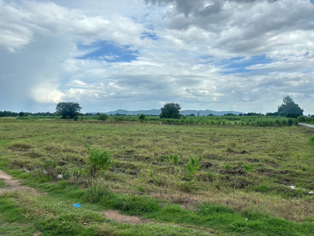For SaleLandSuphan Buri : Land for sale in U Thong, Suphan Buri, area 118 rai