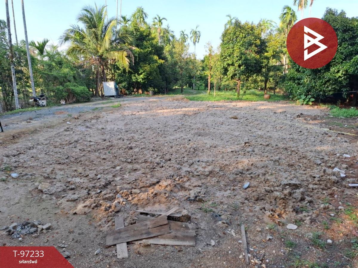 ขายที่ดินจันทบุรี : ขายด่วนที่ดิน เนื้อที่ 6 ไร่ 2 งาน 90 ตร.วา ขลุง จันทบุรี