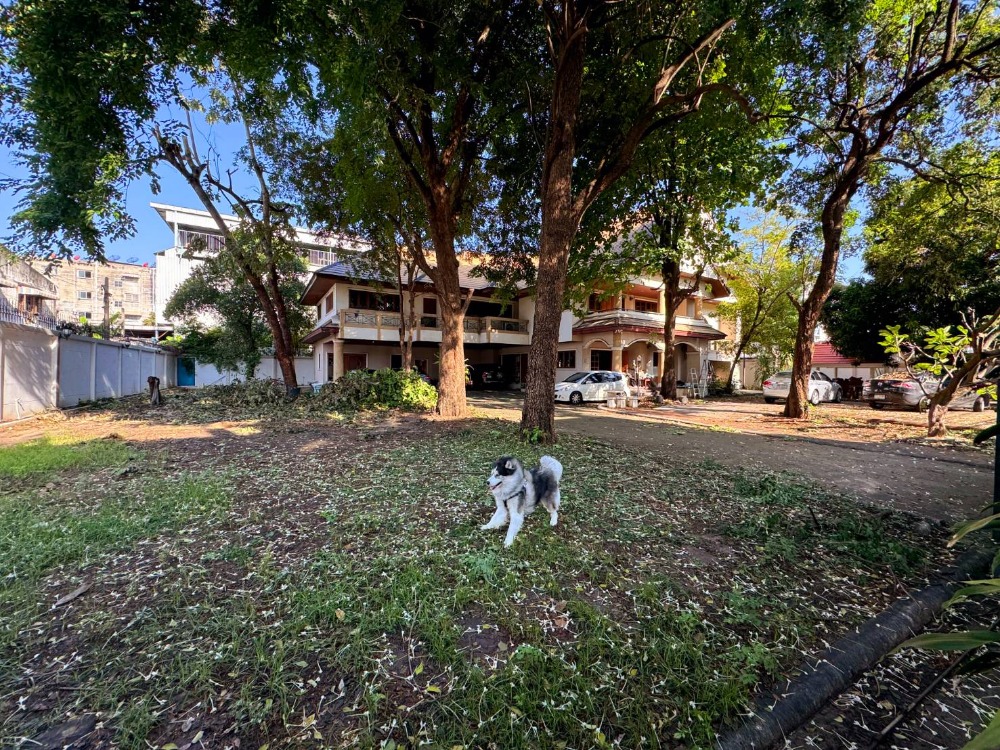 For SaleHouseRama3 (Riverside),Satupadit : Land for sale with a large 2-storey detached house in Sathu Pradit 34 area, prime location in the city center, near the expressway, spacious area, shady and private garden.