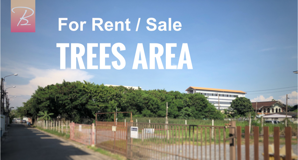 For RentLandLadkrabang, Suwannaphum Airport : For rent, 1 rai of land, filled in, Chaloem Prakiat Road, Rama 9, Soi 25 and 27, near the Yellow Line 1.4 km