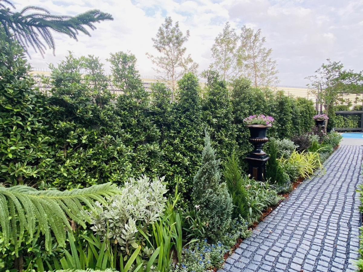 For SaleHouseLadkrabang, Suwannaphum Airport : 📢👇Luxury house, facing south, corner plot, designed according to Feng Shui principles, English garden, near Wellington International School and Brighton International School.