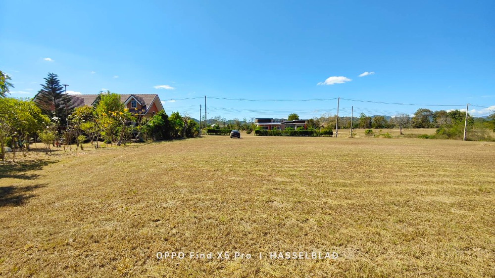 ขายที่ดินเพชรบูรณ์ : ขายที่ดินราคาถูกต่ำกว่าตลาด ที่ดินโฉนดพร้อมวิวภูเขาสวยงาม โครงการเดอะเนเจอร์ เพชรบูรณ์