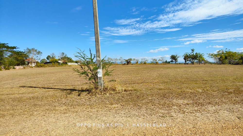 ขายที่ดินเพชรบูรณ์ : ขายที่ดินราคาถูกต่ำกว่าตลาด ที่ดินโฉนดพร้อมวิวภูเขาสวยงาม โครงการเดอะเนเจอร์ เพชรบูรณ์