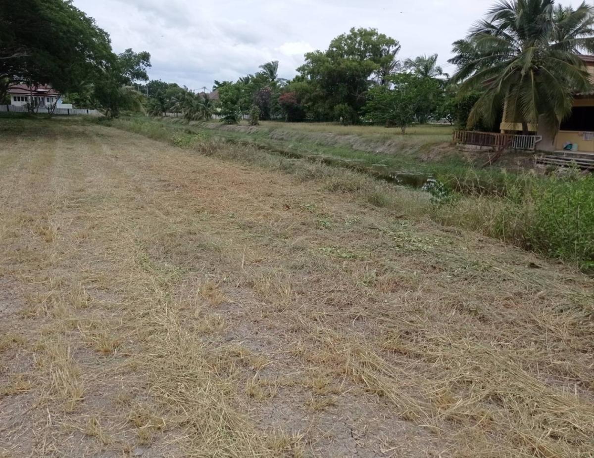 For SaleLandCha-am Phetchaburi : Land for sale 96 sq.w., Phetchaburi Province, Chao Samran Lake and Hill Project For relaxation The atmosphere is very good, peaceful, private.