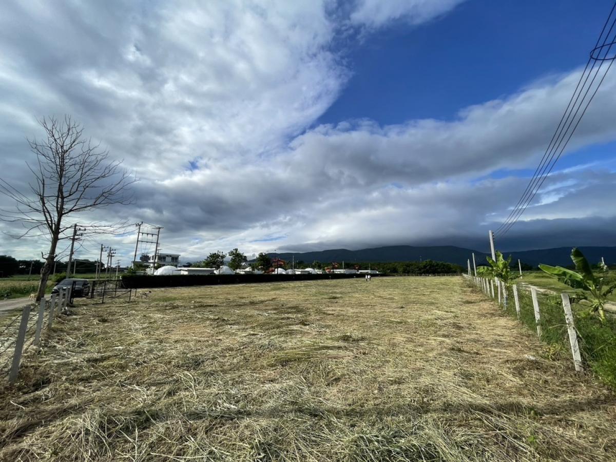 For SaleLandPak Chong KhaoYai : 📢💰Selling the whole plot of land in Khao Yai, Mu Si (divided into 8 plots of red Garuda title deeds, NS4C), with a view of the large mountain range, accessible from Thanarat Road, only 7 km.