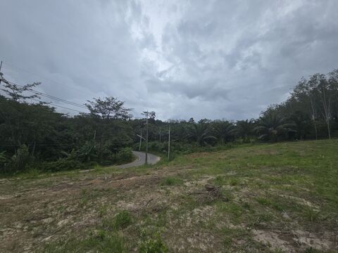ขายที่ดินพังงา : LAND FOR SALE 9 Rai in Phang-Nga ขายที่ดิน 9 ไร่ 1 งาน 19 ตร.ว.(นส.3ก.) ต.คลองเคียน พังงา ใกล้ทะเล 1 กม