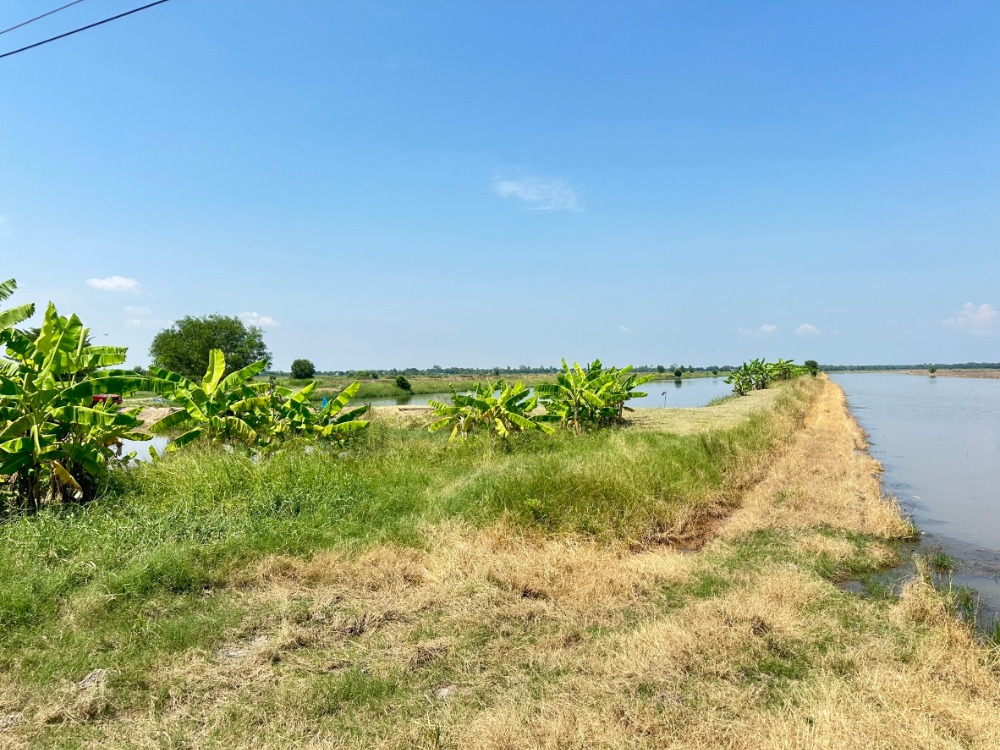 For SaleLandNakhon Nayok : Land for sale, 50 rai, Ongkharak District, Nakhon Nayok Province