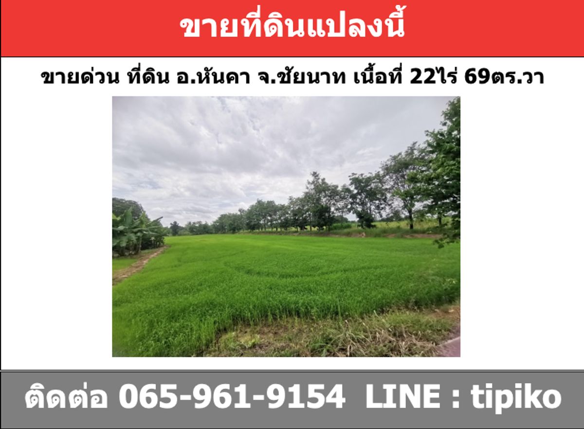 ขายที่ดินชัยนาท : ขายที่ดิน​ อ.หันคา​ จ.ชัยนาท เนื้อที่​ 22ไร่ ใกล้ถนนใหญ่​