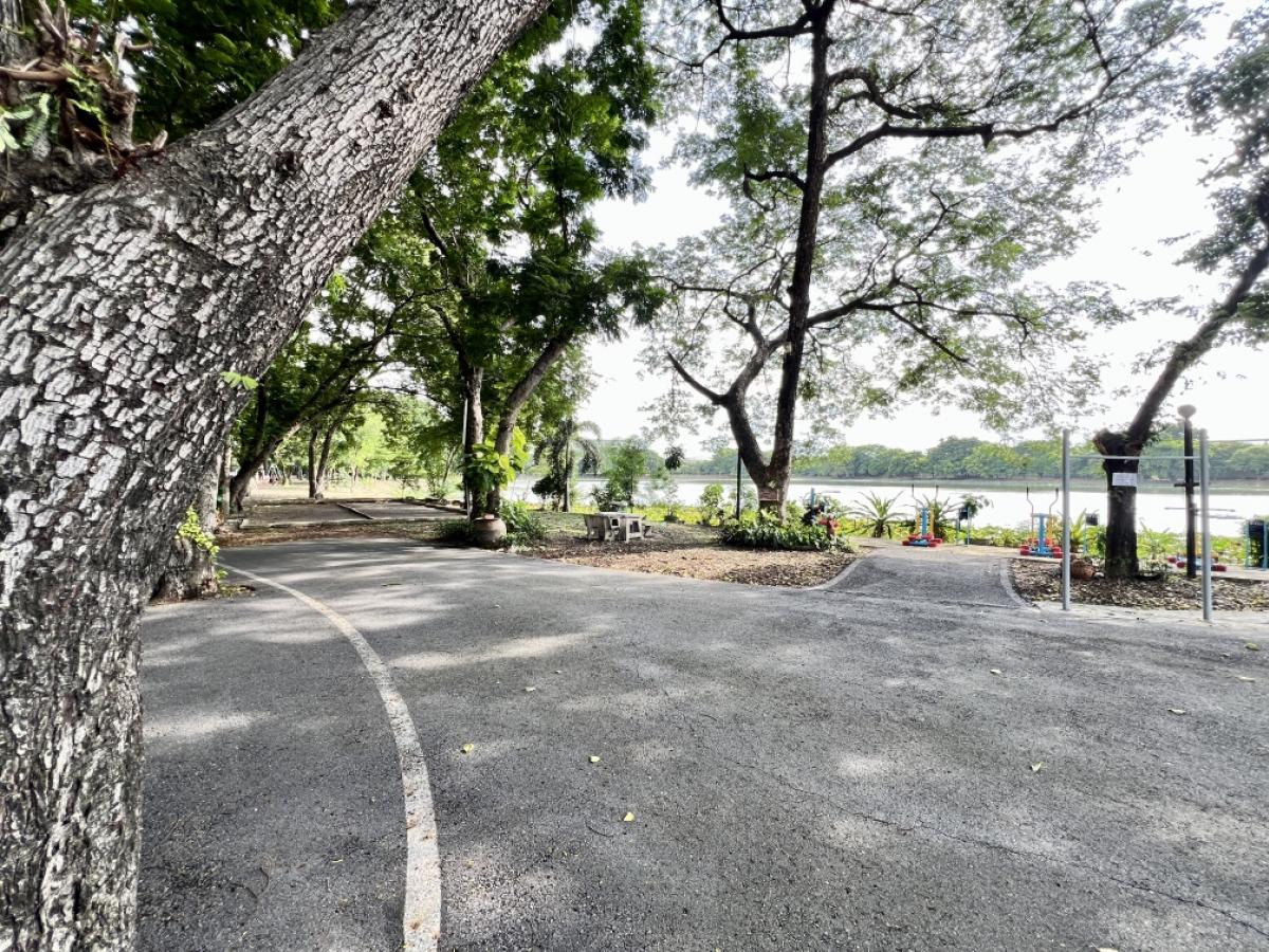 For SaleHousePathum Thani,Rangsit, Thammasat : House for sale, Siwali, Rangsit (near Si Mum Muang Market), good location