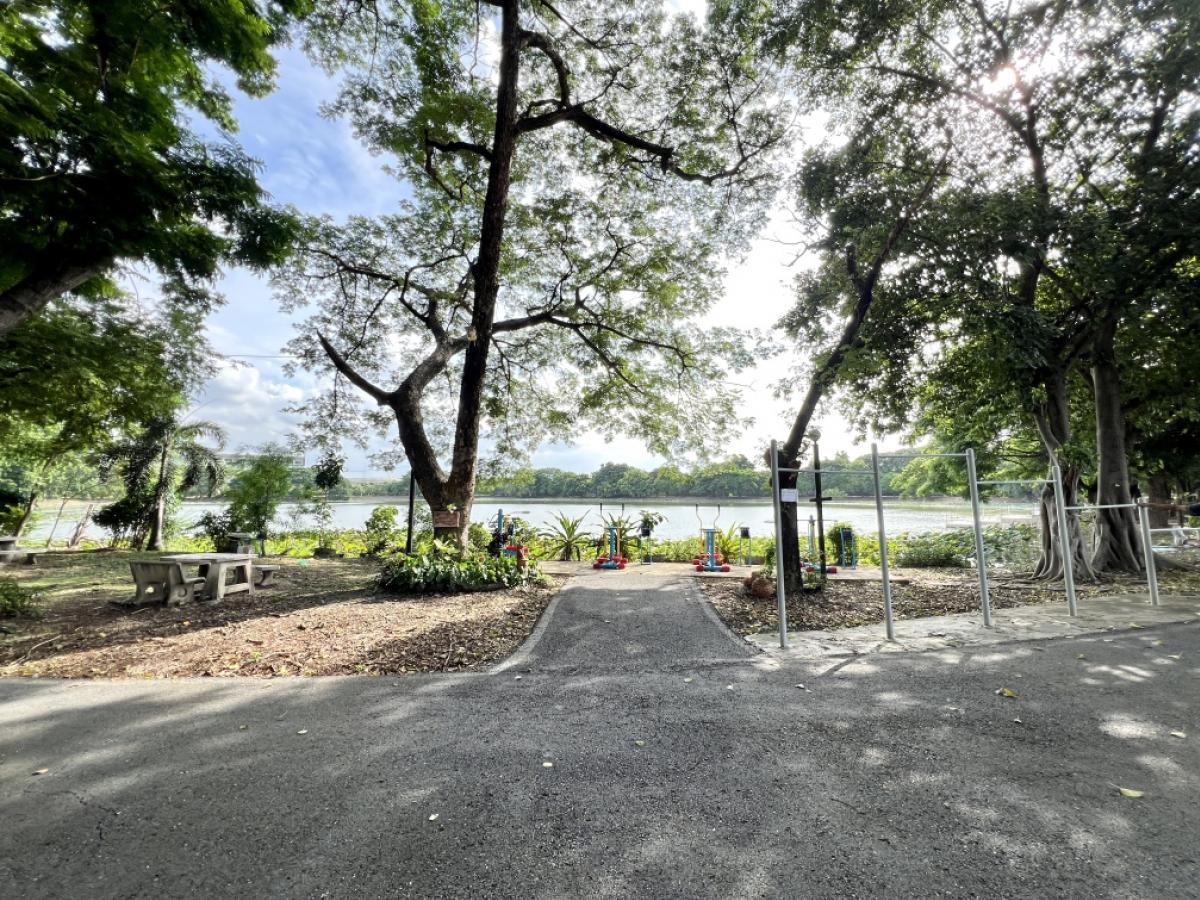 For SaleHousePathum Thani,Rangsit, Thammasat : House for sale, Siwali, Rangsit (near Si Mum Muang Market), good location