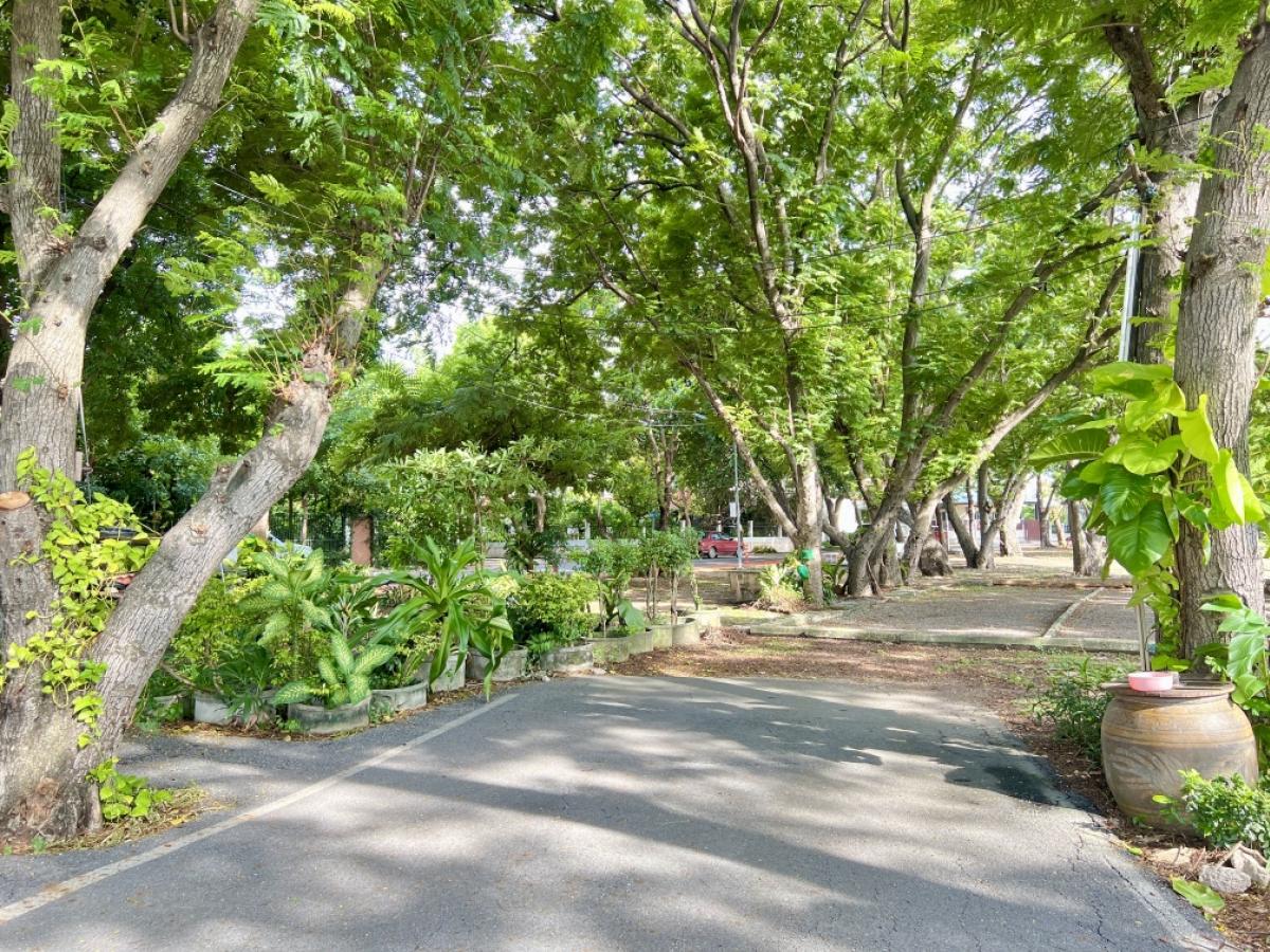 For SaleHousePathum Thani,Rangsit, Thammasat : House for sale, Siwali, Rangsit (near Si Mum Muang Market), good location