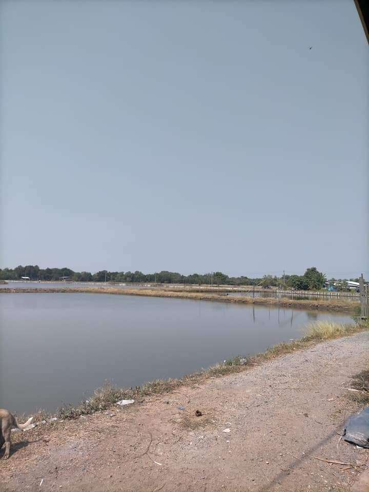 For SaleLandChachoengsao : Land Phan Thong / (SALE), Land Phan Thong / (SALE) AA019