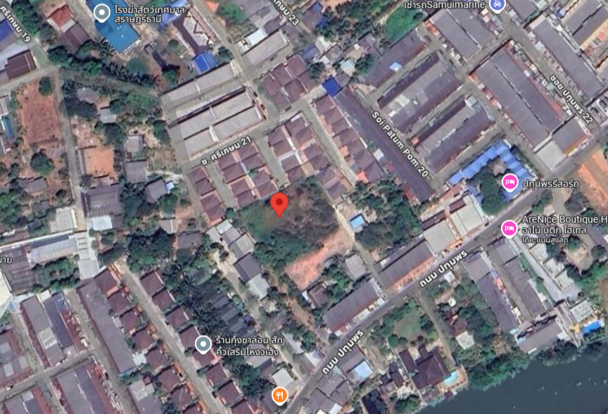 ขายที่ดินสมุย สุราษฎร์ธานี : ขายที่ดินเปล่าใจกลางเมืองสุราษฎร์ธานี ซอยปทุมพร 18 เนื้อที่ 385 ตารางวา