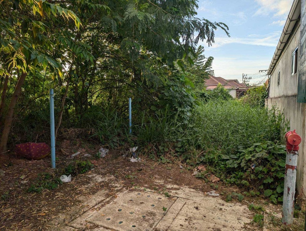 ขายที่ดินสมุย สุราษฎร์ธานี : ขายที่ดินเปล่าใจกลางเมืองสุราษฎร์ธานี ซอยปทุมพร 18 เนื้อที่ 385 ตารางวา