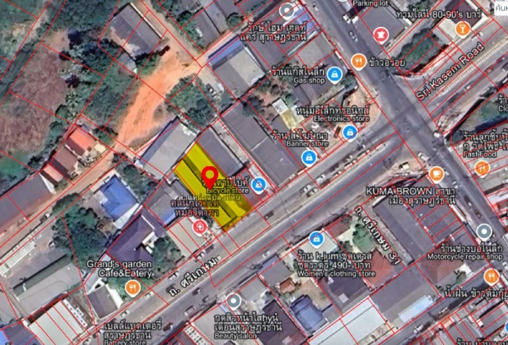 For SaleLandKoh Samui, Surat Thani : Land for sale in the heart of Surat Thani city, on Sri Kasem Road, near Nai Luk Intersection.