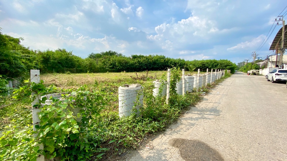 ให้เช่าที่ดินบางนา แบริ่ง ลาซาล : ให้เช่าที่ดิน 1 ไร่ 50 ตารางวา ลาซาล 48 ถมดินแล้ว ล้อมรั้วอย่างดี