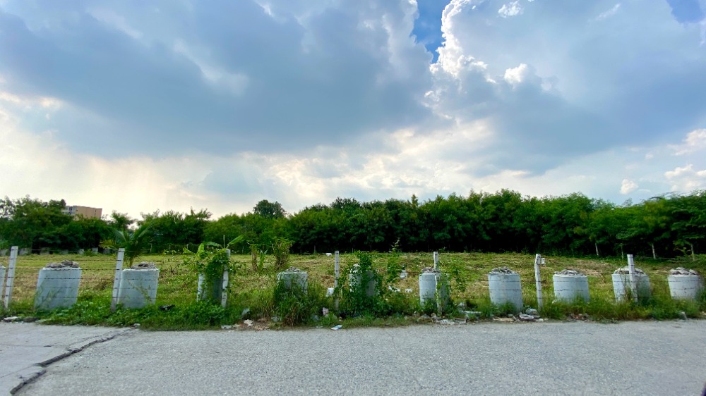 ให้เช่าที่ดินบางนา แบริ่ง ลาซาล : ให้เช่าที่ดิน 1 ไร่ 50 ตารางวา ลาซาล 48 ถมดินแล้ว ล้อมรั้วอย่างดี