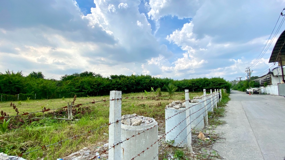 ให้เช่าที่ดินบางนา แบริ่ง ลาซาล : ให้เช่าที่ดิน 1 ไร่ 50 ตารางวา ลาซาล 48 ถมดินแล้ว ล้อมรั้วอย่างดี