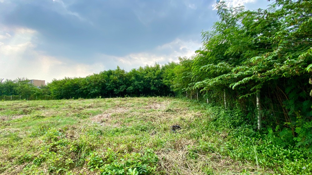 ให้เช่าที่ดินบางนา แบริ่ง ลาซาล : ให้เช่าที่ดิน 1 ไร่ 50 ตารางวา ลาซาล 48 ถมดินแล้ว ล้อมรั้วอย่างดี