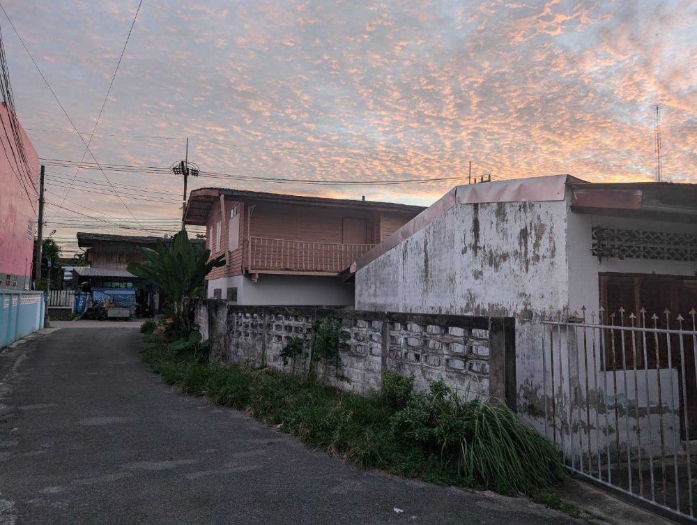 ขายที่ดินสมุย สุราษฎร์ธานี : ขายที่ดิน ตรงข้ามโรงพยาบาลสุราษฎร์ธานี ซอยศรีวิชัย 51 เหมาะสำหรับลงทุน