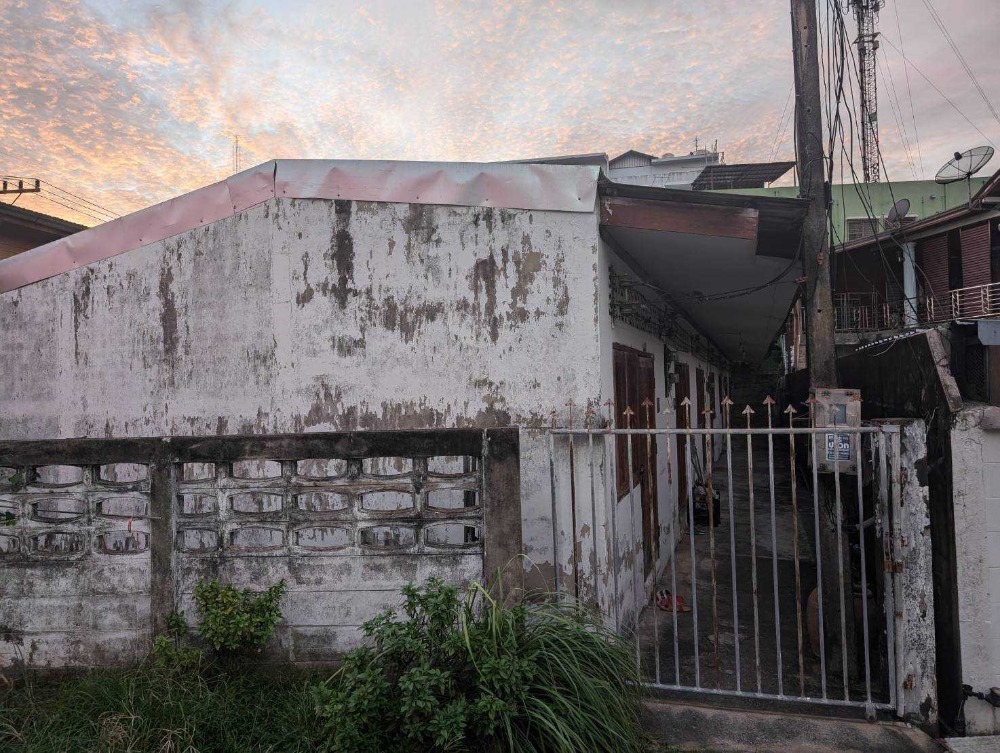 ขายที่ดินสมุย สุราษฎร์ธานี : ขายที่ดิน ตรงข้ามโรงพยาบาลสุราษฎร์ธานี ซอยศรีวิชัย 51 เหมาะสำหรับลงทุน