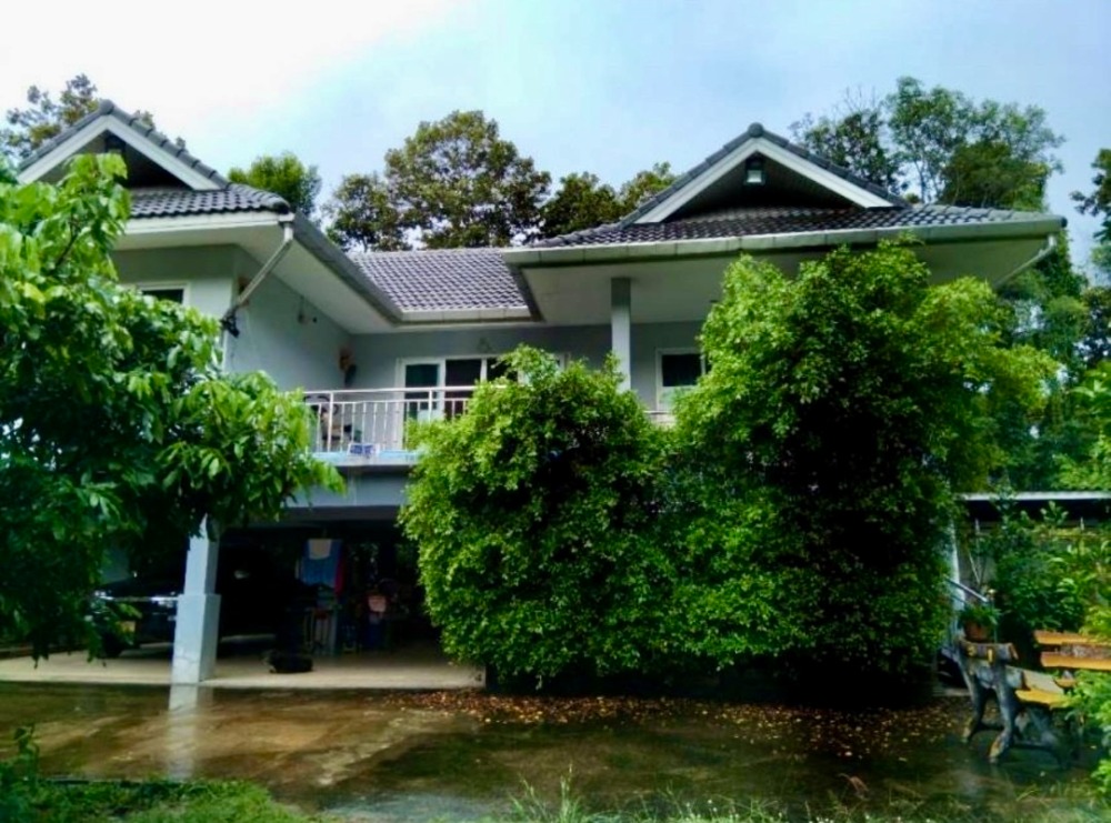 For SaleHouseChiang Mai : 🏡 Tranquil Garden Home in Chiang Mai – Perfect for Those Dreaming of a Nature-Embraced Lifestyle 🌿
