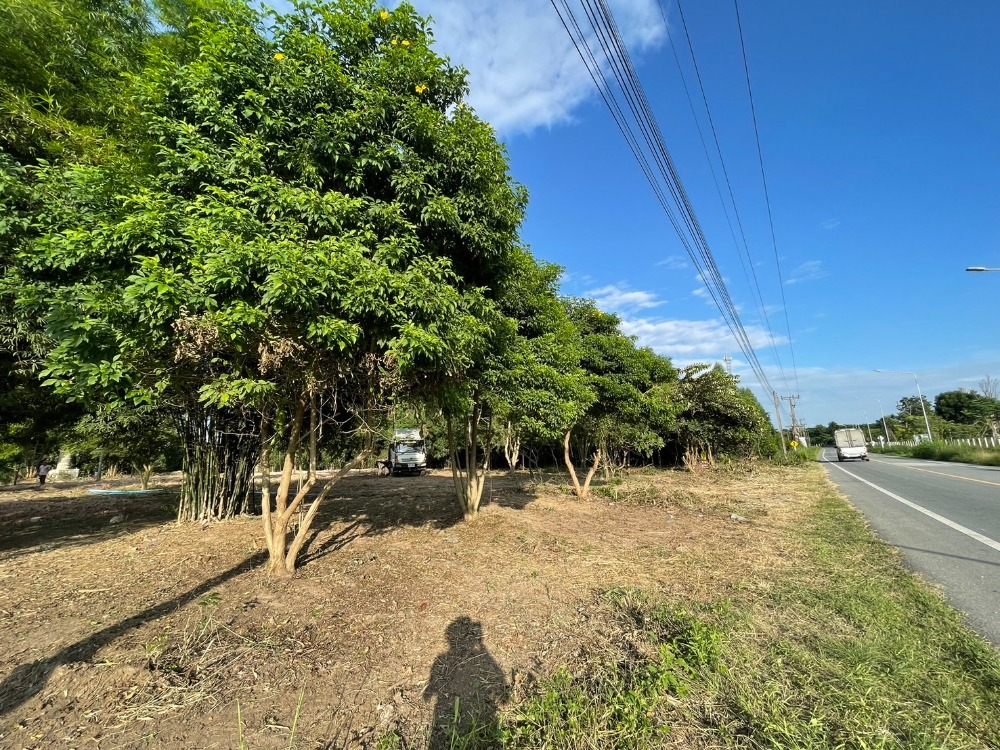 For SaleLandPattaya, Bangsaen, Chonburi : Land Phanat Nikhom / (SALE) AA040