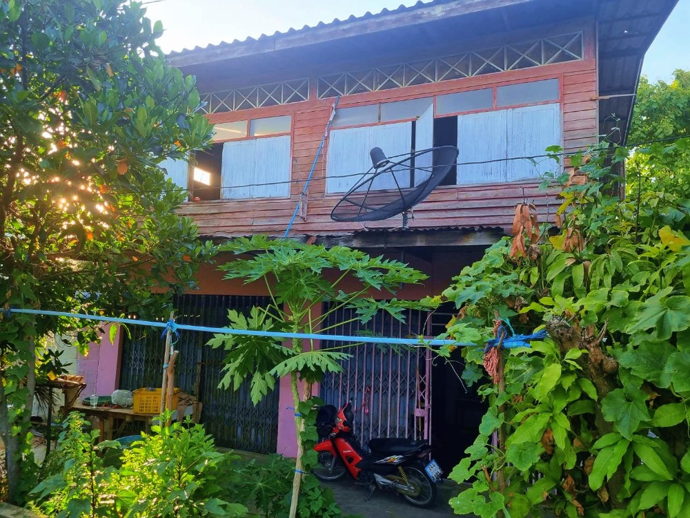 ขายที่ดินกาญจนบุรี : ขายที่ดินพร้อมบ้านตลาดท่าเรือ จ.กาญจนบุรี