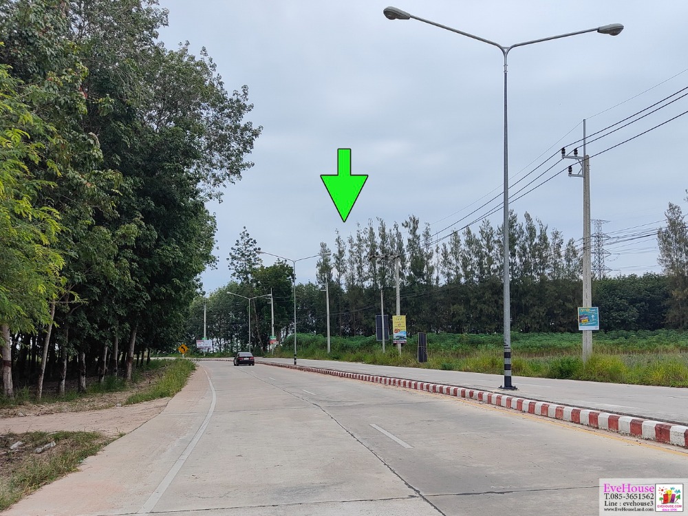 For SaleLandRayong : Land for sale in Pluak Daeng, Rayong Size 99-1-67 Rai For sale 1.6 million baht/rai. Total price 160 million baht Near CK Plaze, Industrial Estate, Mapyangphon, Pluak Daeng Subdistrict Administrative Organization housing
