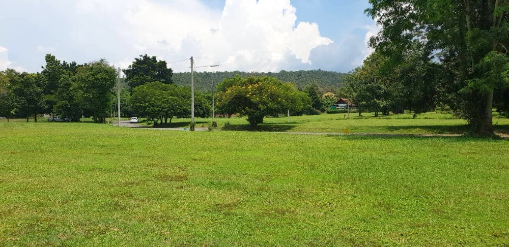 ขายที่ดินเชียงใหม่ : ขายที่ดินเปล่า โครงการหมู่บ้าน กรีนฟิลด์ ( Green Field ) ต.ป่าป้อง อ.ดอยสะเก็ด เชียงใหม่