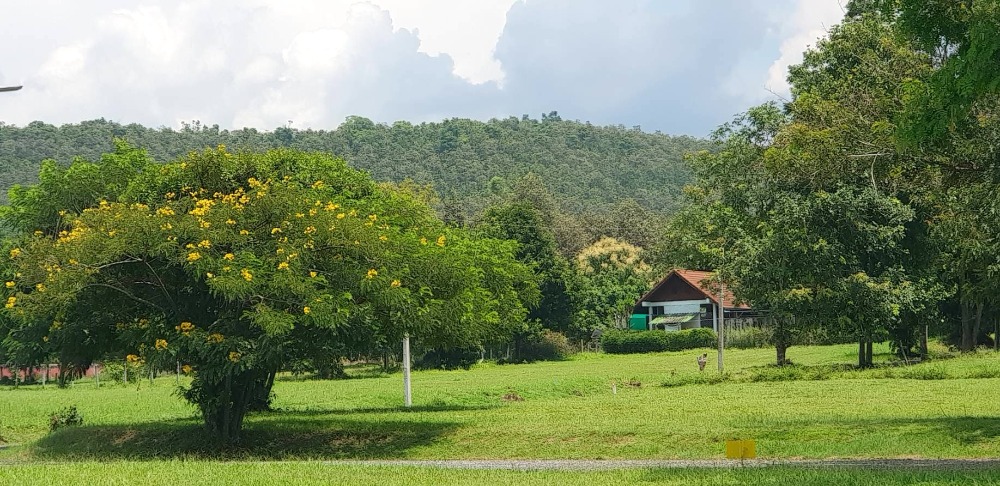 ขายที่ดินเชียงใหม่ : ขายที่ดินเปล่า โครงการหมู่บ้าน กรีนฟิลด์ ( Green Field ) ต.ป่าป้อง อ.ดอยสะเก็ด เชียงใหม่