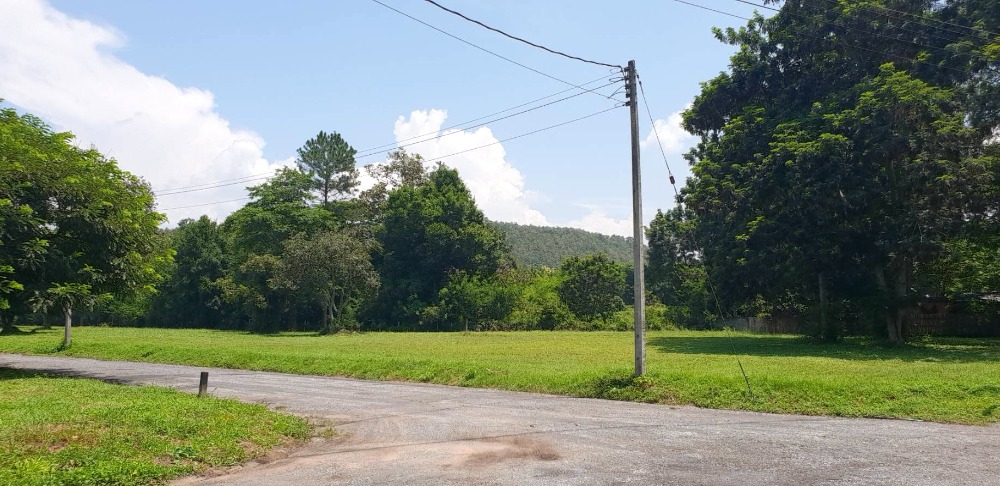 ขายที่ดินเชียงใหม่ : ขายที่ดินเปล่า โครงการหมู่บ้าน กรีนฟิลด์ ( Green Field ) ต.ป่าป้อง อ.ดอยสะเก็ด เชียงใหม่
