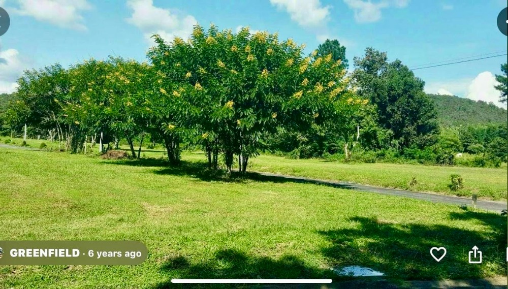 ขายที่ดินเชียงใหม่ : ขายที่ดินเปล่า โครงการหมู่บ้าน กรีนฟิลด์ ( Green Field ) ต.ป่าป้อง อ.ดอยสะเก็ด เชียงใหม่