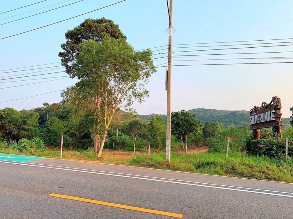 ขายที่ดินพัทยา บางแสน ชลบุรี สัตหีบ : ขายที่ดินสวยใกล้ Silver Lake พัทยา ทำเลดีและศักยภาพสูงในเมืองพัทยา