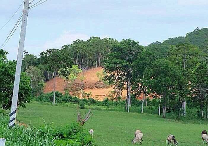 ขายที่ดินพัทยา บางแสน ชลบุรี สัตหีบ : ขายที่ดินสวยใกล้ Silver Lake พัทยา ทำเลดีและศักยภาพสูงในเมืองพัทยา