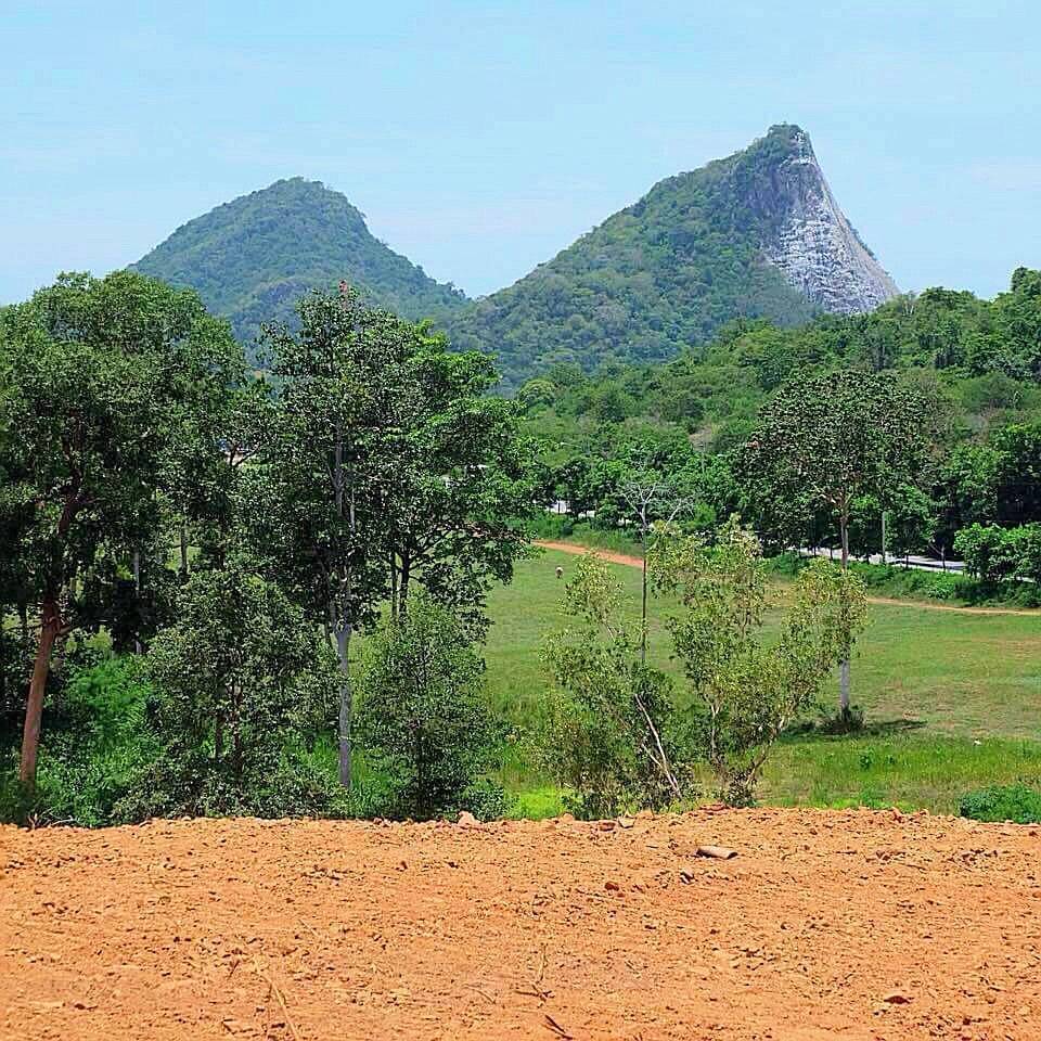 ขายที่ดินพัทยา บางแสน ชลบุรี สัตหีบ : ขายที่ดินสวยใกล้ Silver Lake พัทยา ทำเลดีและศักยภาพสูงในเมืองพัทยา