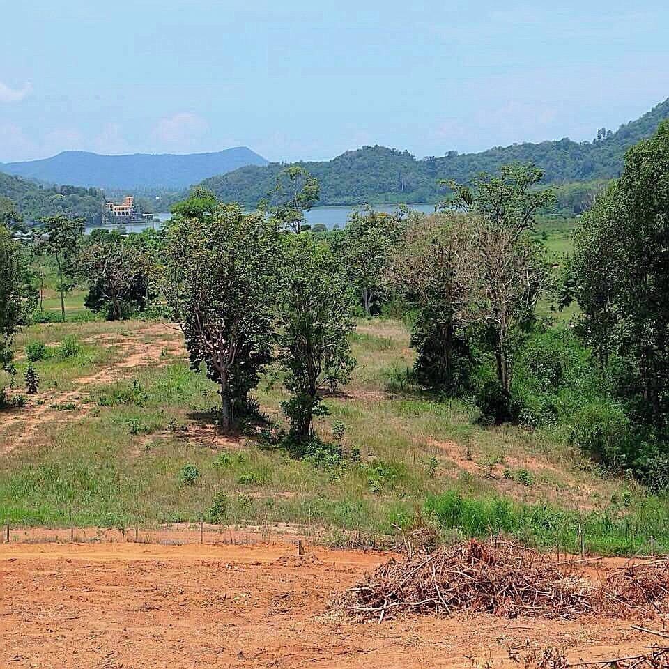 ขายที่ดินพัทยา บางแสน ชลบุรี สัตหีบ : ขายที่ดินสวยใกล้ Silver Lake พัทยา ทำเลดีและศักยภาพสูงในเมืองพัทยา