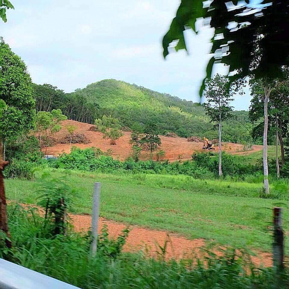 ขายที่ดินพัทยา บางแสน ชลบุรี สัตหีบ : ขายที่ดินสวยใกล้ Silver Lake พัทยา ทำเลดีและศักยภาพสูงในเมืองพัทยา