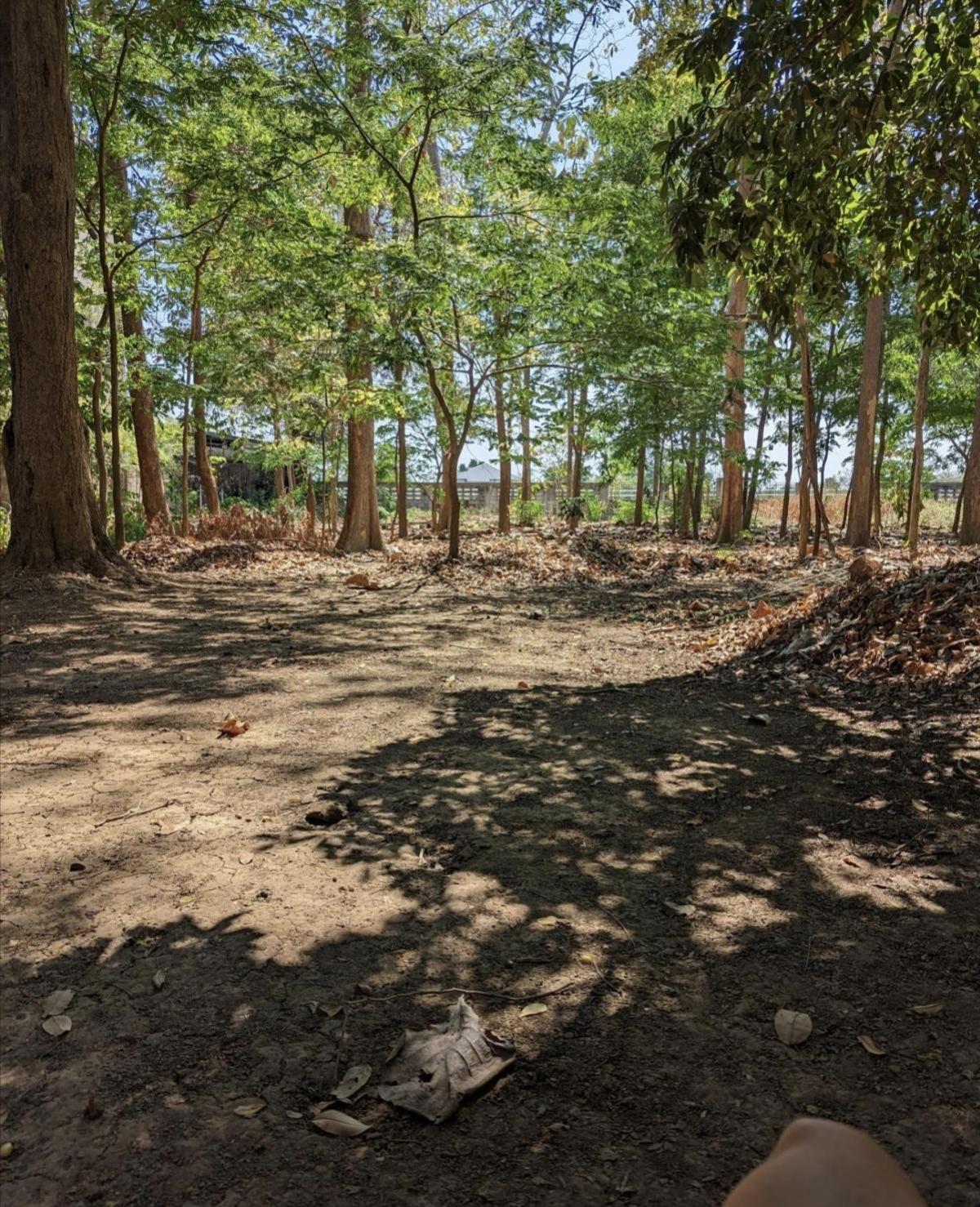 For SaleLandKanchanaburi : Land and house for sale