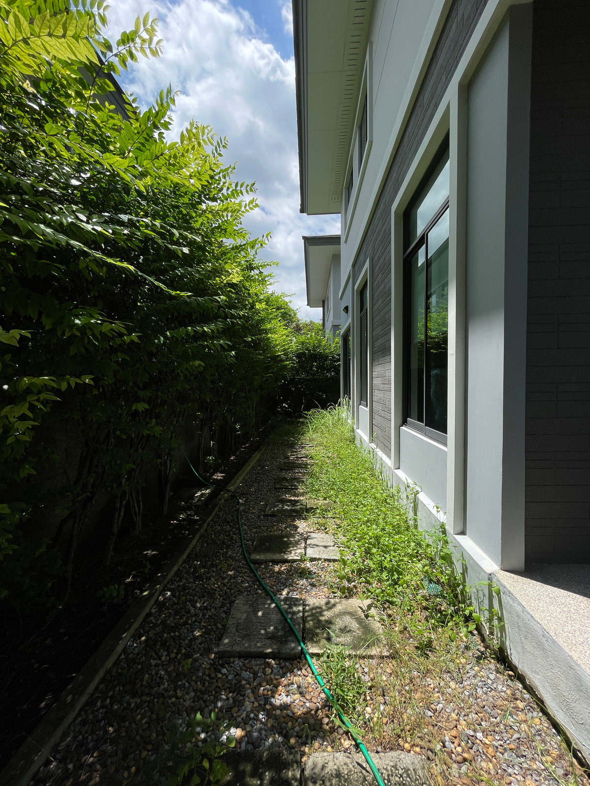 For RentHousePattanakan, Srinakarin : For rent, detached house, Luxury, The Palm, Phatthanakan, corner plot, near Thonglor, garden view