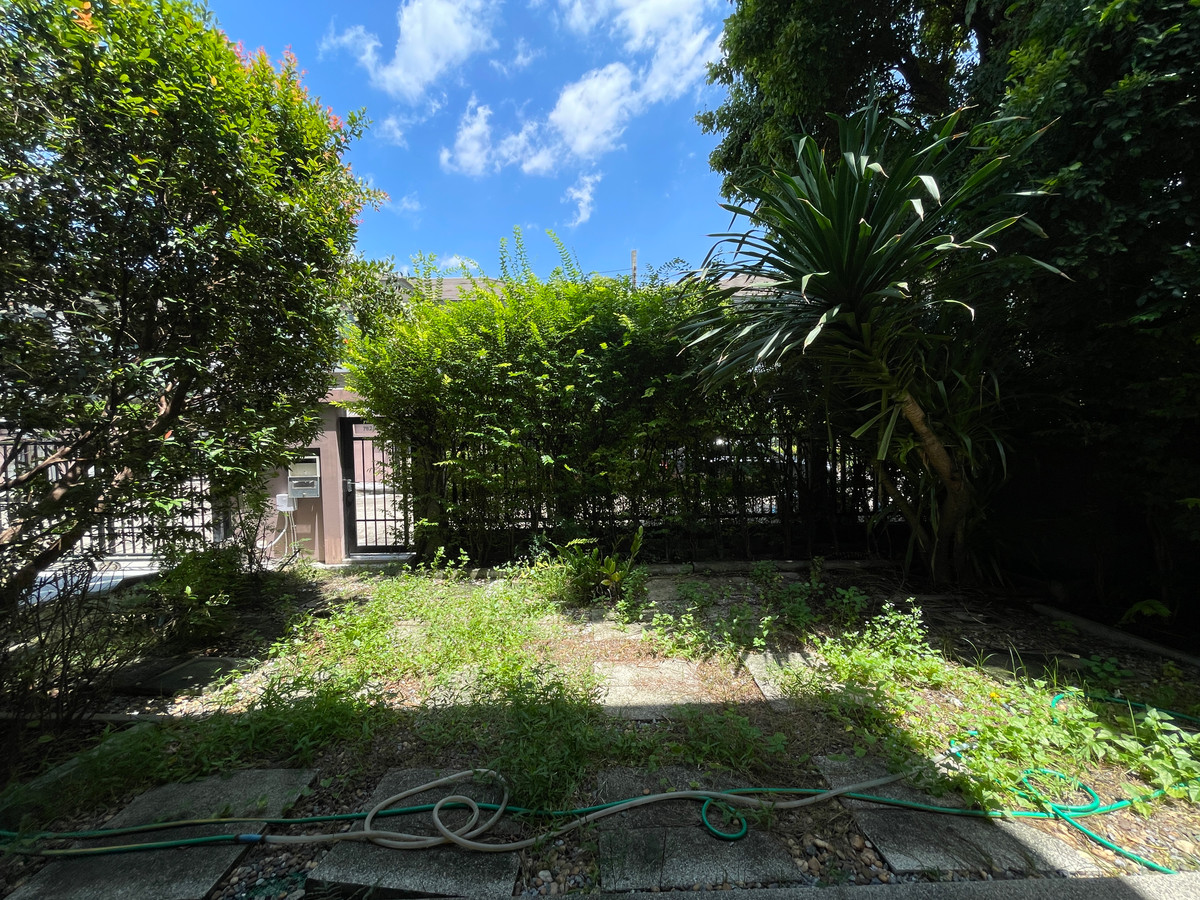 For RentHousePattanakan, Srinakarin : For rent, detached house, Luxury, The Palm, Phatthanakan, corner plot, near Thonglor, garden view