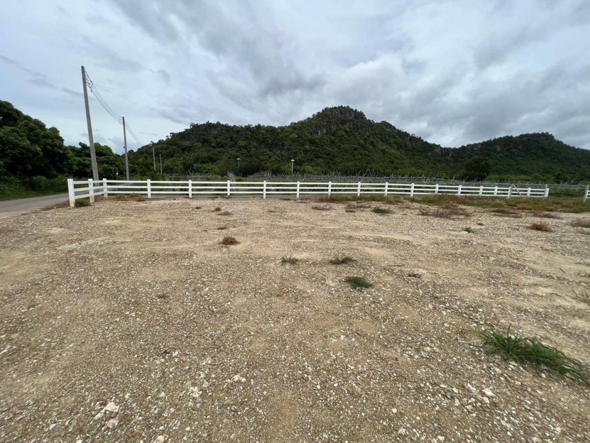 For SaleLandRatchaburi : Ratchaburi Land for sale, Khao 243 sq.who, 2,600 baht (PA00876)