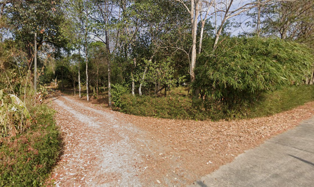 For SaleLandPattaya, Bangsaen, Chonburi : Land Na Roek Phanat Nikhom / (SALE) AA045
