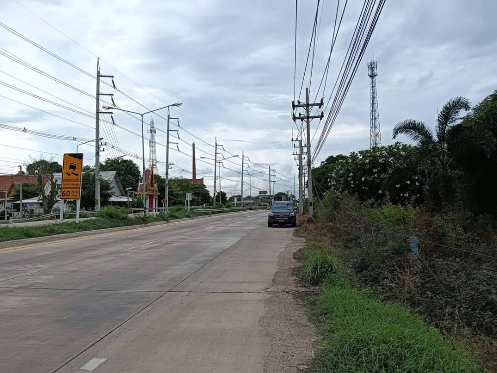 For SaleLandPattaya, Bangsaen, Chonburi : Land Khok Phlo Phanat Nikhom / (SALE) AA042