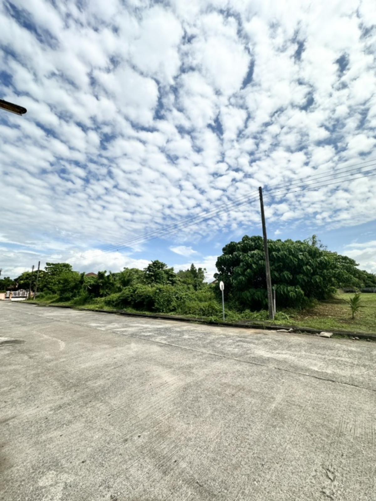 ขายที่ดินนครศรีธรรมราช : ที่ดินสวยหลังมุม ในหมู่บ้านสยามนครธานี 🌟 พร้อมสร้างบ้านสวย อ.เมือง จ.นครศรีธรรมราช