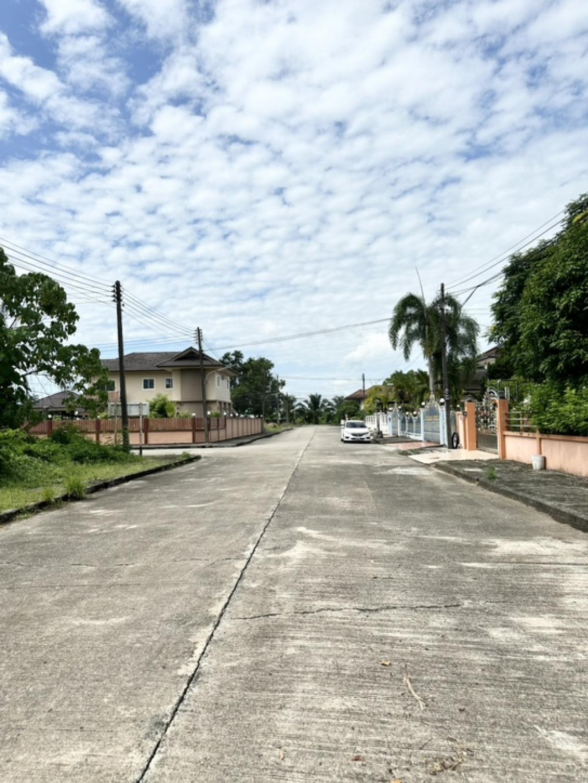 ขายที่ดินนครศรีธรรมราช : ที่ดินสวยหลังมุม ในหมู่บ้านสยามนครธานี 🌟 พร้อมสร้างบ้านสวย อ.เมือง จ.นครศรีธรรมราช