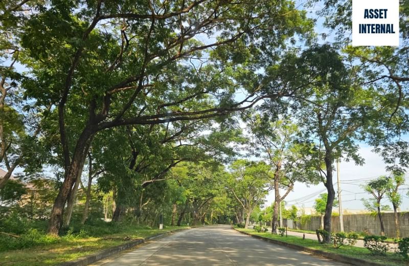 ขายที่ดินมีนบุรี-ร่มเกล้า : ขายที่ดิน 1 ไร่ 11.2 ตารางวา ในหมู่บ้าน Royal Park Vill (รอยัลปาร์ควิลล) ติดถนน สุวินทวงศ์ ช่วงซอย 44 แขวงลำผักชี เขตหนองจอก กรุงเทพมหานคร